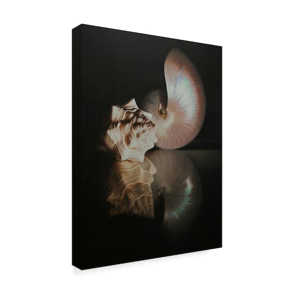 Cecile Baird 'Pearl Nautilus' Canvas Art,14x19